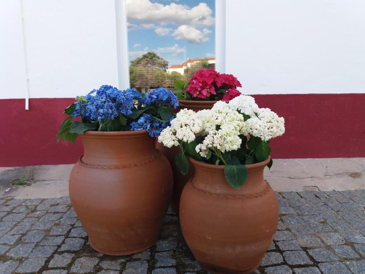 Hotel Terras De Monsaraz Reguengos de Monsaraz Zewnętrze zdjęcie