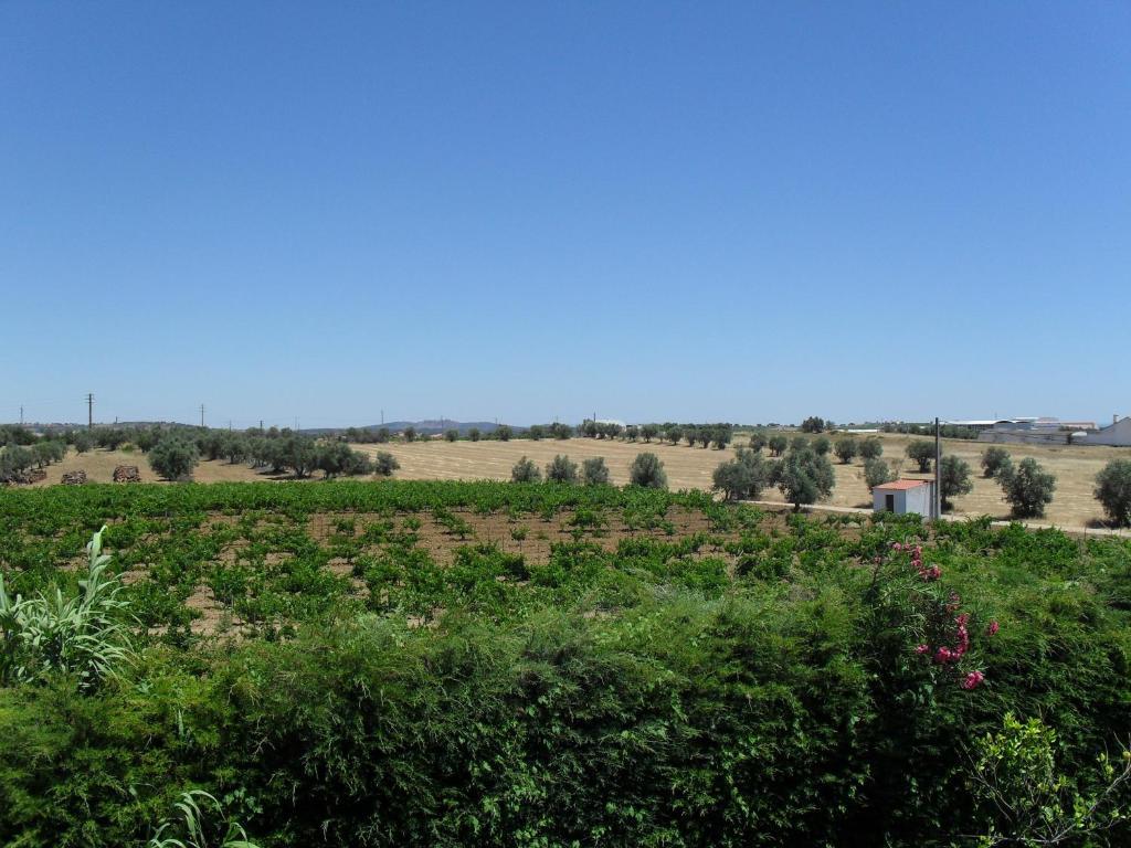 Hotel Terras De Monsaraz Reguengos de Monsaraz Pokój zdjęcie