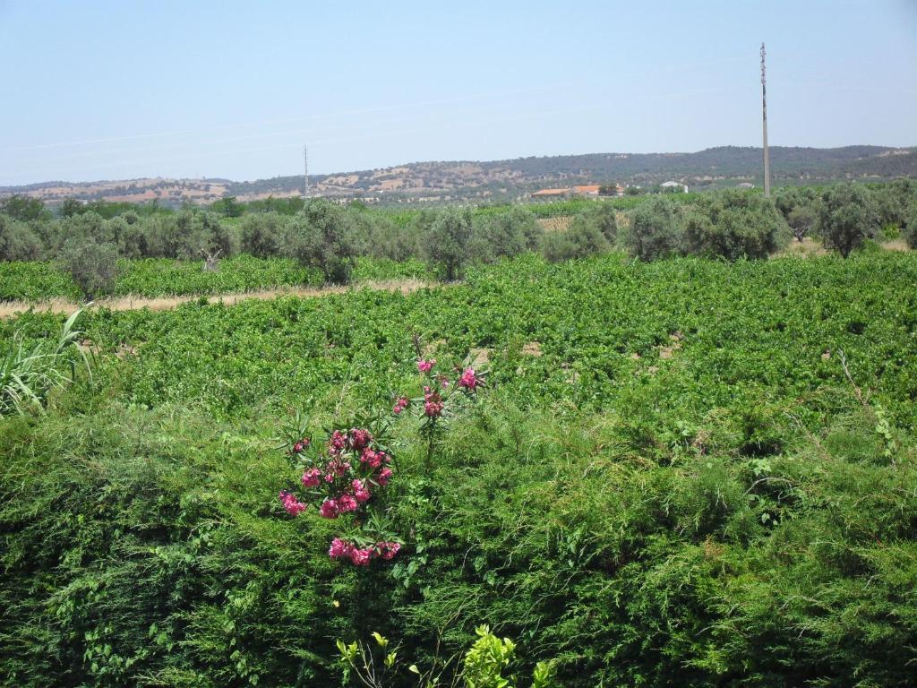 Hotel Terras De Monsaraz Reguengos de Monsaraz Pokój zdjęcie